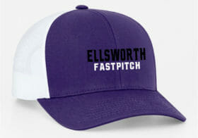 Ellsworth Fastpitch - Purple/White Embroidered Snapback Baseball Cap (112)