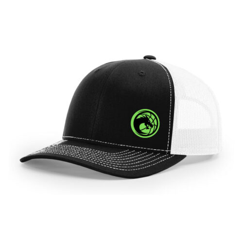Minnesota Dynasty - Black/White Embroidered Snapback Baseball Cap (112)