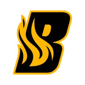 Burnsville Fastpitch - Helmet Sticker