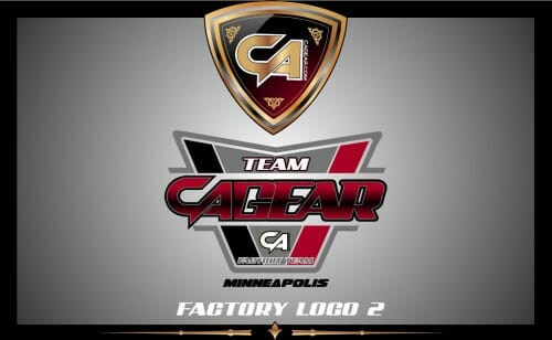 Factory Team Logos - Image 4