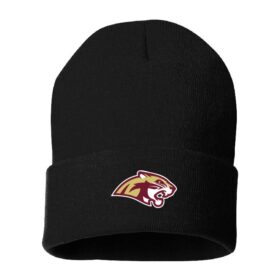 Lakeville South Alpine Ski - Black Embroidered Cuffed Beanie (SP12)