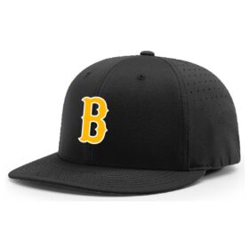 Burnsville Baseball Coaches - Embroidered FlexFit Baseball Cap (PTS30)