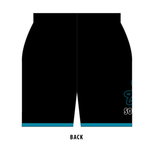 Catalyst Softball - Full-Dye Shorts - Image 2