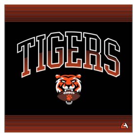 Farmington Football - Full-Dye Blanket