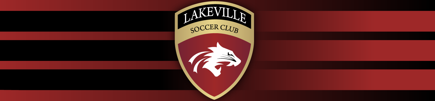 Lakeville South Soccer