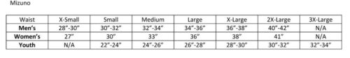 Prior Lake Fastpitch - Player Package - Image 2