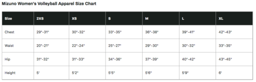 Eastview Volleyball - Mizuno Volleyball Shorts (PLAYERS ONLY) - Image 2