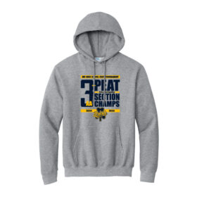 RHS Girls Hockey State - Printed Athletic Heather Pullover Hoodie (PC90H)