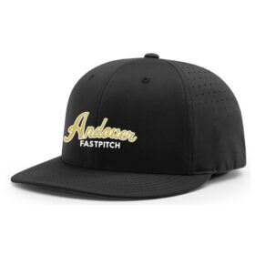 Andover Fastpitch - Black Embroidered FlexFit Baseball Cap (PTS30)
