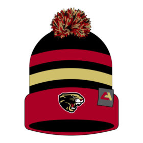 Lakeville IceCats Hockey - New Embroidered IceCats Stocking Hat