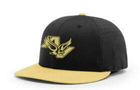Apple Valley Baseball - Embroidered Baseball Cap (Richardson PTS30)