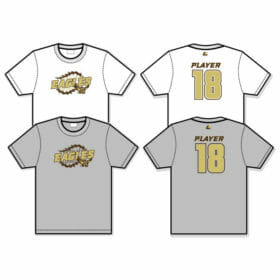 Apple Valley Baseball - Sublimated Performance Tee (ST350)