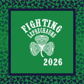 Fighting Leprechauns