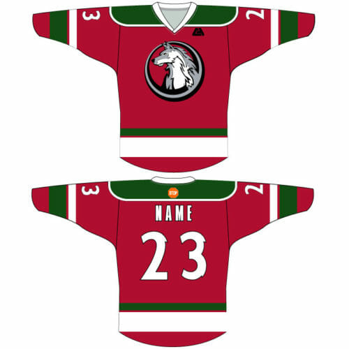 CA Gear - "Wolves" Hockey Jersey - Image 2