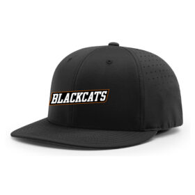 st. cloud wolves special olympics black embroidered flexfit hat (pts30) (copy)