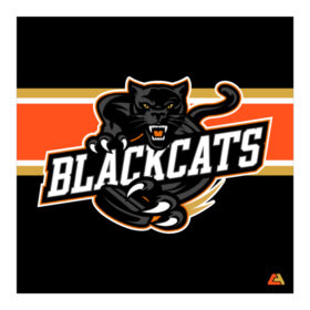 blackcats hockey embroidered unrl crossover hoodie ii