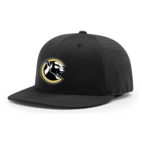 st. cloud wolves special olympics black embroidered flexfit hat (pts30) (copy)