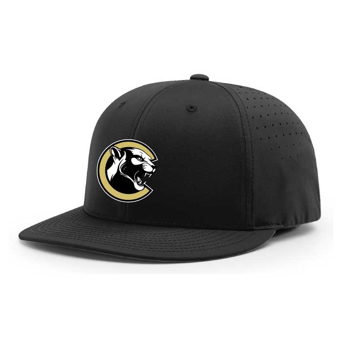 st. cloud wolves special olympics black embroidered flexfit hat (pts30) (copy)