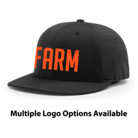 farmington baseball embroidered flexfit hat (pts30)