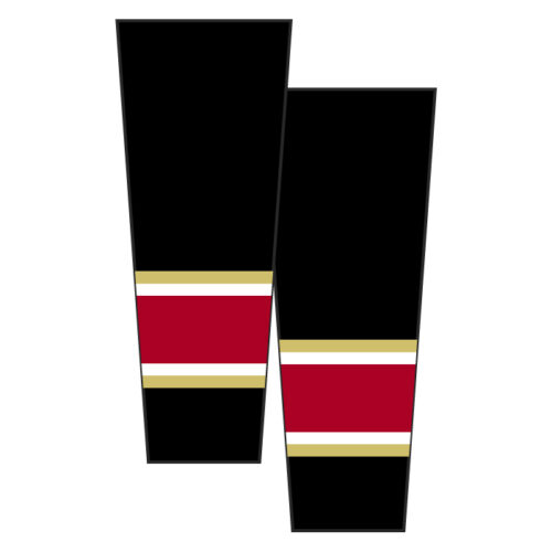 lakeville icecats hockey full dye crewneck shortsleeve jersey