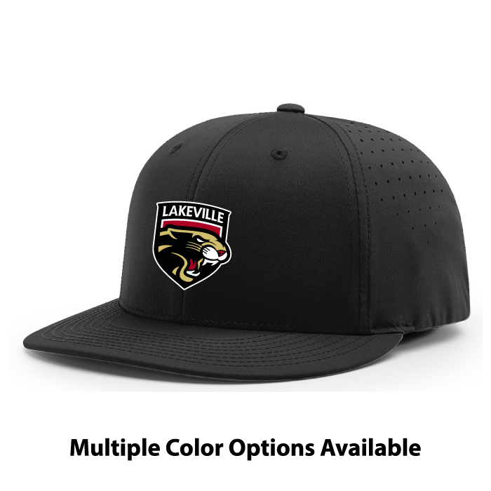 lakeville icecats hockey embroidered snapback baseball cap (112)