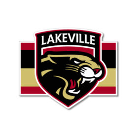 lakeville icecats hockey full dye crewneck shortsleeve jersey