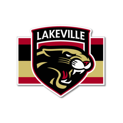 lakeville icecats hockey full dye crewneck shortsleeve jersey