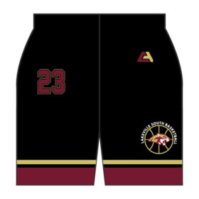 lakeville south girls travel basketball full dye hoodie