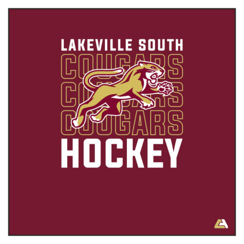 lakeville south hockey full dye game jersey