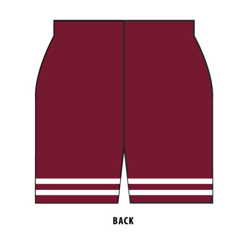 lakeville south hockey full dye game jersey