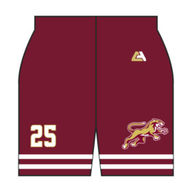 lakeville south hockey full dye game jersey