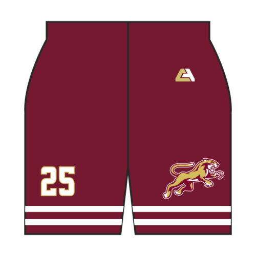 lakeville south hockey full dye game jersey