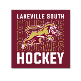 lakeville south hockey full dye game jersey