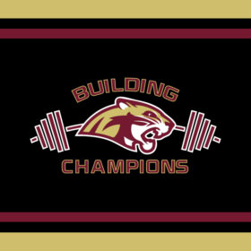 lswl logo