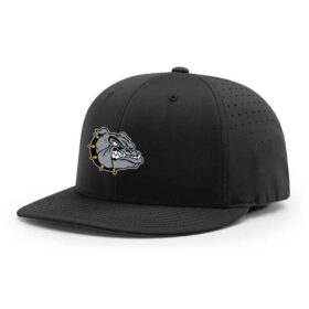 st. cloud wolves special olympics black embroidered flexfit hat (pts30) (copy)