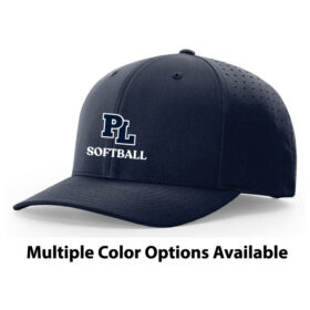 minneapolis millers embroidered snapback baseball cap (632) (copy)