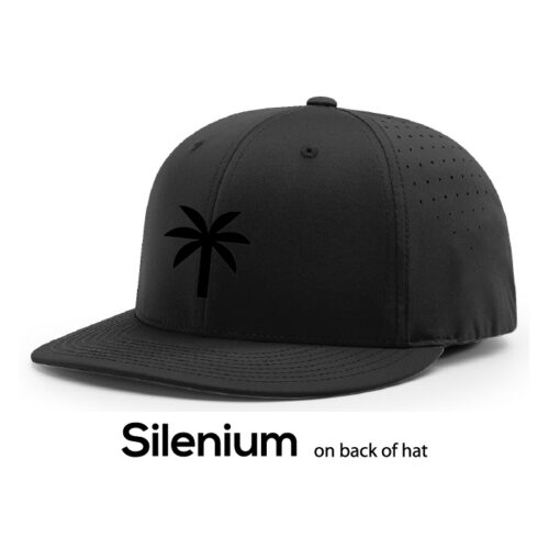 silenium pts30 black