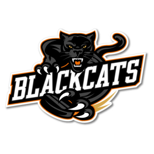 blackcats hockey embroidered unrl crossover hoodie ii