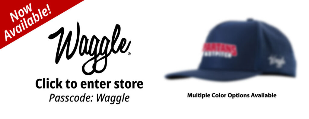 waggle ighfastpitch blur