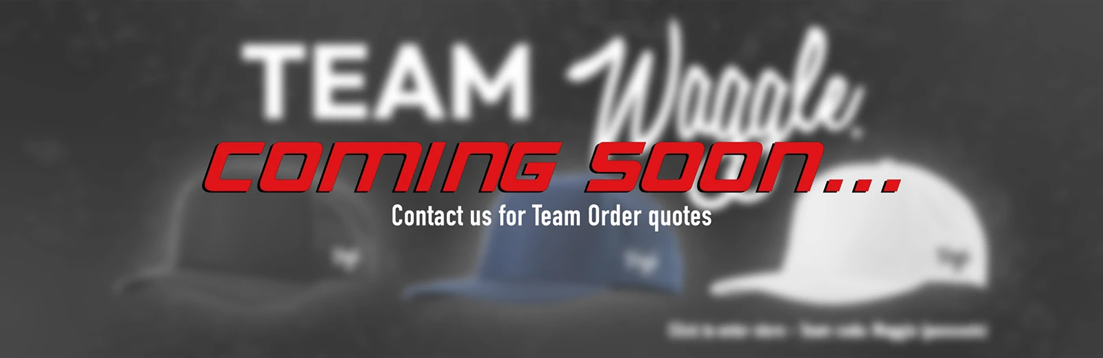 wagglebanner comingsoon v2